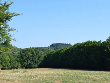 Gîte familial au calme avec grand jardin, balnéo et loisirs nautiques à proximité - Photo 6