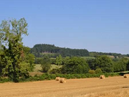 Grande ferme rénovée avec jardin et loisirs à proximité - Photo 12