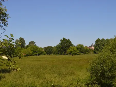 Maison rénovée en Berry : terrasse, jardin privé, proche Châteauroux et nature - Photo 11