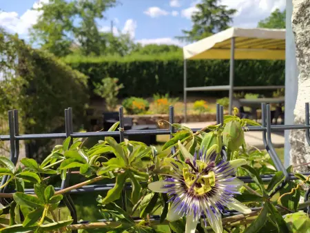 Maison berrichonne authentique avec jardin, près du Domaine de George Sand et activités variées - Photo 6