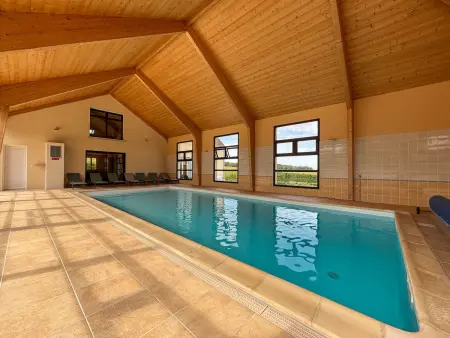 Villa avec Piscine Intérieure, Billard et Tennis, proche Zoo de Beauval et Châteaux de la Loire - Photo 4