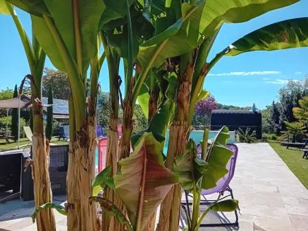 Maison avec jardin, piscine chauffée et baignade à proximité - Le Menoux - Photo 5
