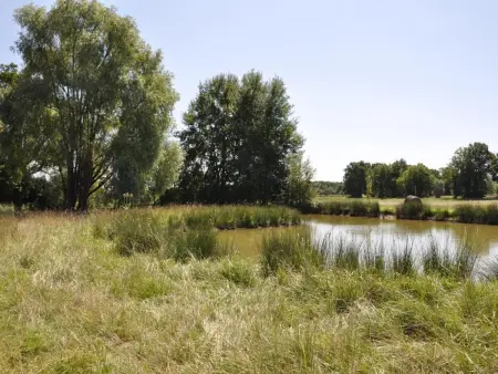 Gîte familial en ferme avec jardin, proche forêt et canal d'Orléans - Label Tourisme et Handicap - Photo 19