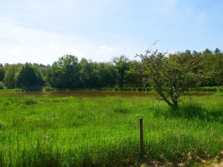 Gîte Sologne vue étang privé, pêche, proche Chambord - Photo 22
