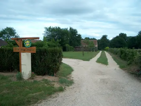 Gîte rural de charme avec sauna, forêt à proximité et prairie avec chevaux - Photo 19
