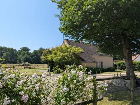 Gîte rural de charme avec sauna, forêt à proximité et prairie avec chevaux - Photo 20