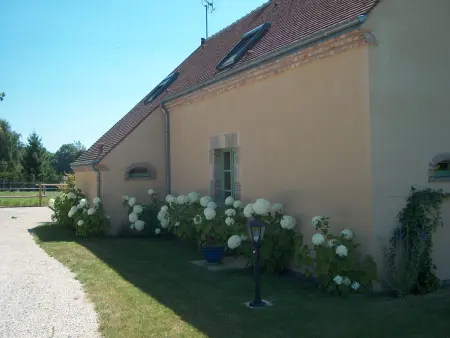 Gîte rural de charme avec sauna, forêt à proximité et prairie avec chevaux - Photo 21