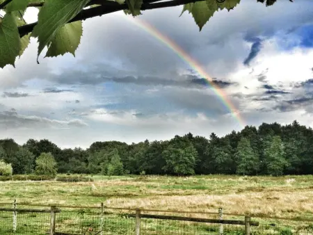 Gîte rural de charme avec sauna, forêt à proximité et prairie avec chevaux - Photo 22
