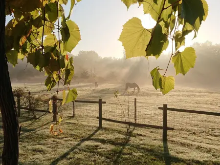 Gîte rural de charme avec sauna, forêt à proximité et prairie avec chevaux - Photo 24