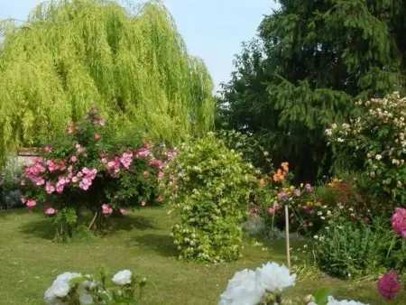 Charmant Gîte au Calme près de Pithiviers avec Jardin et Terrasse - Photo 20