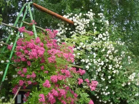Charmant Gîte au Calme près de Pithiviers avec Jardin et Terrasse - Photo 22