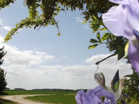 Charmante maison de campagne avec jardin privé, près de Paris et Orléans, idéale pour familles - Photo 23