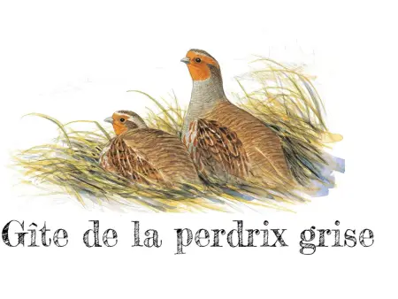 Charmante maison de campagne avec jardin privé, près de Paris et Orléans, idéale pour familles - Photo 27