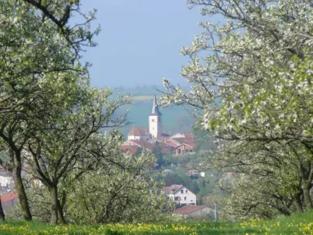 Charmant Gîte en Lorraine, Proche Nancy et Vosges, Terrasse et Confort Tout Équipé - Photo 4