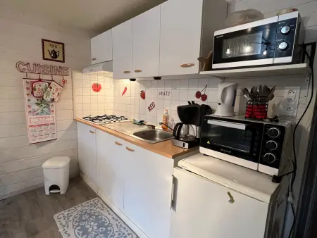 Charmant Gîte en Montagne avec Terrasse et Garage, Proche La Bresse Ski et Sentiers Balises - Photo 7