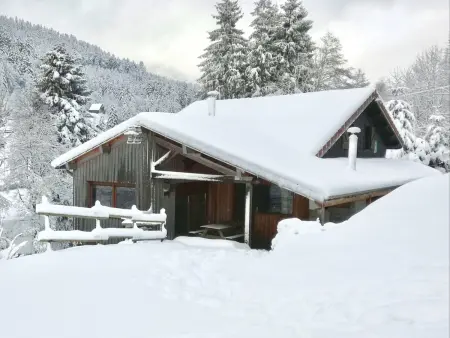 Chalet confortable, proche des pistes de ski, avec jardin, terrasses couvertes et Wi-Fi à La Bresse - Photo 20