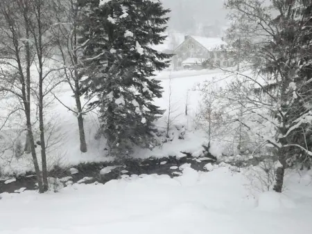 Chalet confortable, proche des pistes de ski, avec jardin, terrasses couvertes et Wi-Fi à La Bresse - Photo 28