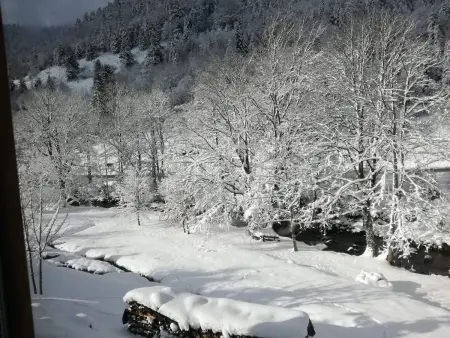 Chalet confortable, proche des pistes de ski, avec jardin, terrasses couvertes et Wi-Fi à La Bresse - Photo 31