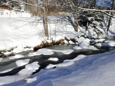 Chalet confortable, proche des pistes de ski, avec jardin, terrasses couvertes et Wi-Fi à La Bresse - Photo 32