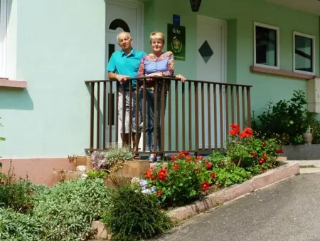 Gîte confortable à La Bresse, proche centre-ville, nature et activités - Photo 13