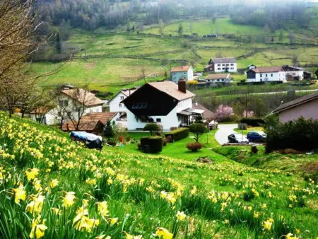 Gîte confortable à La Bresse, proche centre-ville, nature et activités - Photo 17