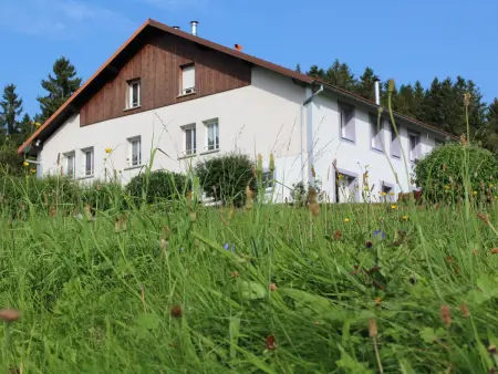 Gîte à Gérardmer - Proche lac et pistes, Chem cheminée, 2 chambres - Photo 19