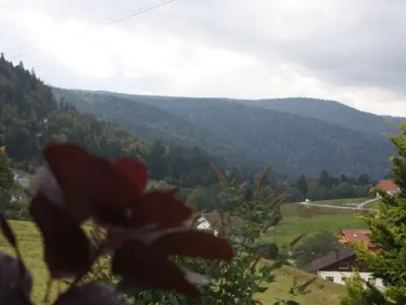 Gîte à Gérardmer - Proche lac et pistes, Chem cheminée, 2 chambres - Photo 22