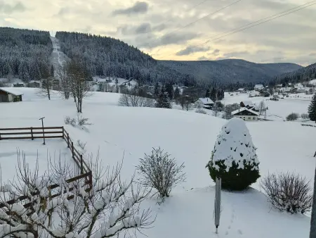 Gîte à Gérardmer - Proche lac et pistes, Chem cheminée, 2 chambres - Photo 23