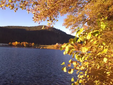 Gîte à Gérardmer - Proche lac et pistes, Chem cheminée, 2 chambres - Photo 25