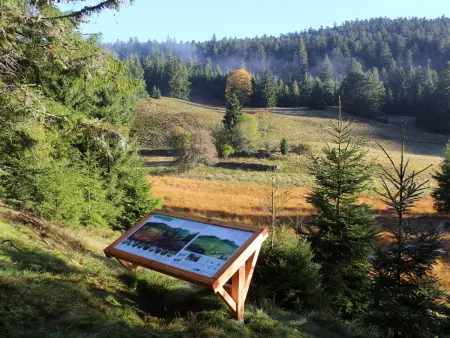 Gîte à Gérardmer - Proche lac et pistes, Chem cheminée, 2 chambres - Photo 27