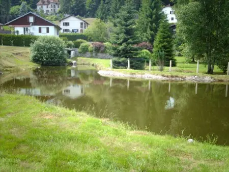Gîte familial aux Vosges avec jeux pour enfants, à proximité de la nature et activités sportives - Photo 18