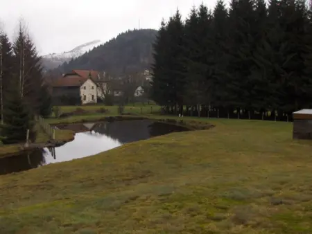 Gîte familial aux Vosges avec jeux pour enfants, à proximité de la nature et activités sportives - Photo 20
