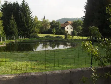 Gîte familial aux Vosges avec jeux pour enfants, à proximité de la nature et activités sportives - Photo 23