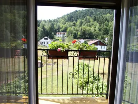Gîte familial aux Vosges avec jeux pour enfants, à proximité de la nature et activités sportives - Photo 25
