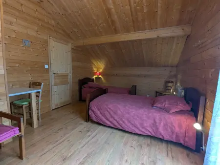 Chalet spacieux près de Gérardmer avec terrasse, verger et activités montagne - Photo 17
