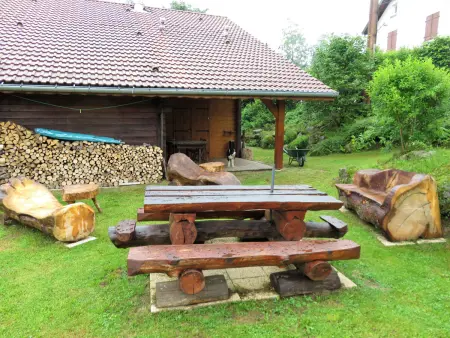 Chalet spacieux près de Gérardmer avec terrasse, verger et activités montagne - Photo 24