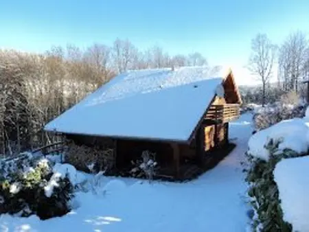 Chalet spacieux près de Gérardmer avec terrasse, verger et activités montagne - Photo 26