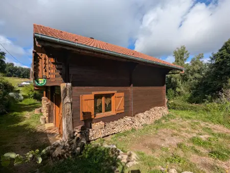 Chalet spacieux près de Gérardmer avec terrasse, verger et activités montagne - Photo 31