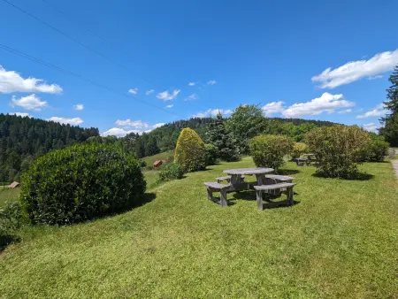Gîte Confortable en Pleine Nature avec Cheminée et Accès Direct aux Sentiers, Proche Gérardmer et Lac - Photo 19