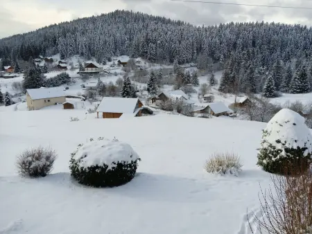 Gîte Confortable en Pleine Nature avec Cheminée et Accès Direct aux Sentiers, Proche Gérardmer et Lac - Photo 27