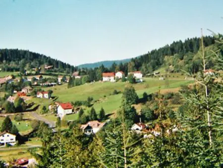 Gîte Confortable en Pleine Nature avec Cheminée et Accès Direct aux Sentiers, Proche Gérardmer et Lac - Photo 29