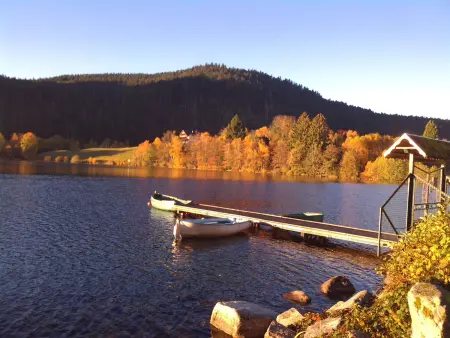 Gîte Confortable en Pleine Nature avec Cheminée et Accès Direct aux Sentiers, Proche Gérardmer et Lac - Photo 30
