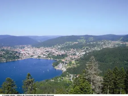Gîte Confortable en Pleine Nature avec Cheminée et Accès Direct aux Sentiers, Proche Gérardmer et Lac - Photo 33