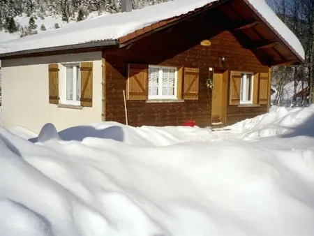 Chalet Confortable à La Bresse, Proche Ski, Wifi, Animaux Acceptés - Photo 8