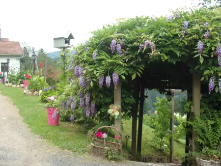 Charmant gîte avec terrasse, WiFi et garage moto à Gérardmer - Photo 15