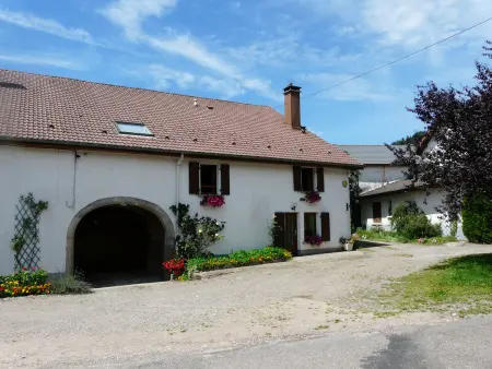 Gîte spacieux et confortable au Val d'Ajol, à proximité de Plombières-les-Bains, animaux de ferme ! - Photo 4