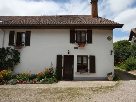 Gîte spacieux et confortable au Val d'Ajol, à proximité de Plombières-les-Bains, animaux de ferme ! - Photo 21