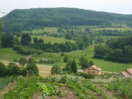 Gîte spacieux et confortable au Val d'Ajol, à proximité de Plombières-les-Bains, animaux de ferme ! - Photo 24