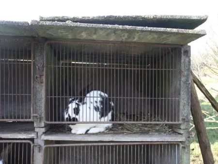 Gîte spacieux et confortable au Val d'Ajol, à proximité de Plombières-les-Bains, animaux de ferme ! - Photo 27