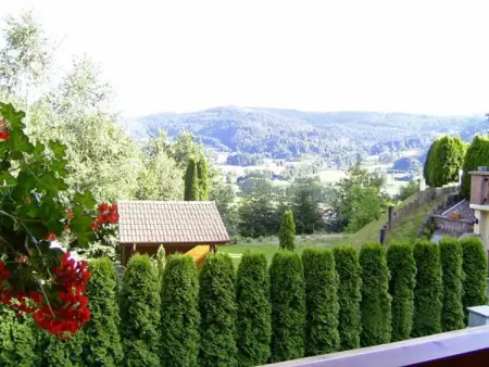 Gîte spacieux et confortable avec terrasse, proche activités montagne, à Ferdrupt - Photo 8